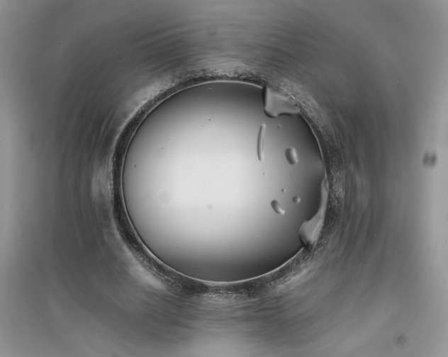 X0000094970630200711291504