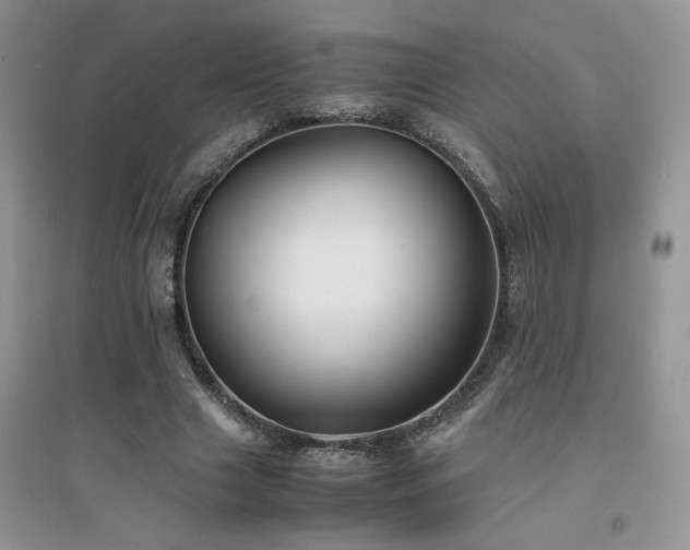 X0000094970633200711291504