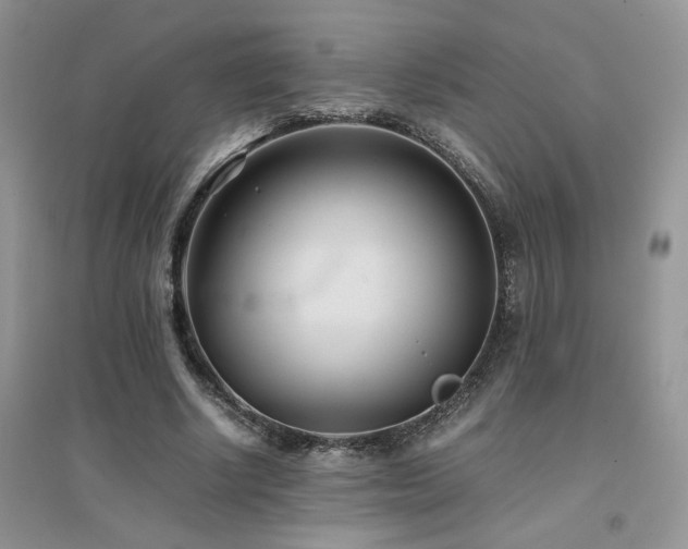 X0000094970634200711291504