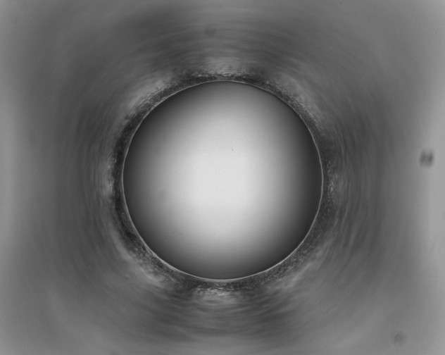 X0000094970635200711291504