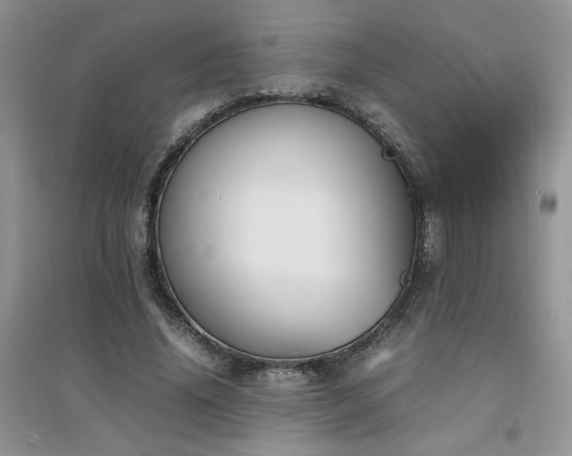 X0000094970636200711291504