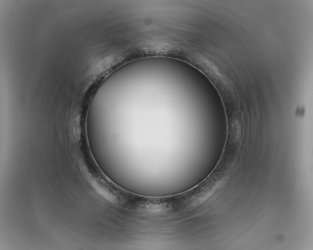 X0000094970638200711291504