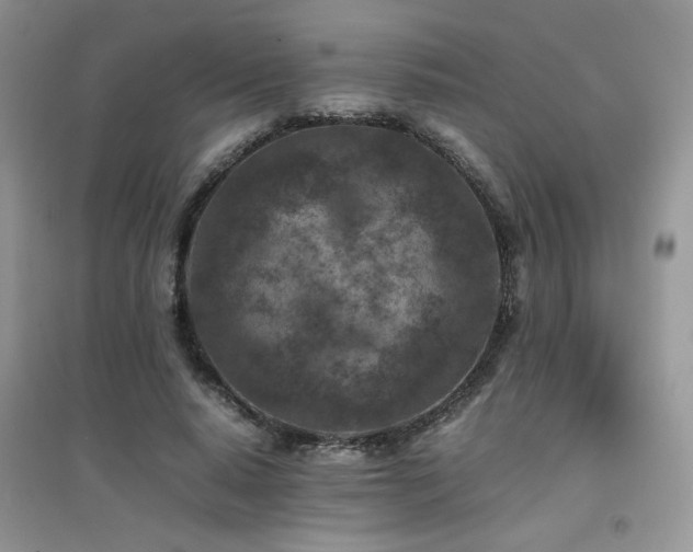 X0000094970640200711291504
