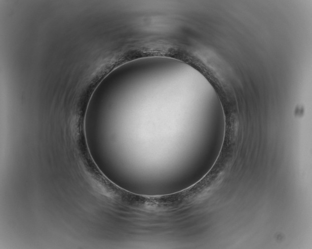 X0000094970641200711291504