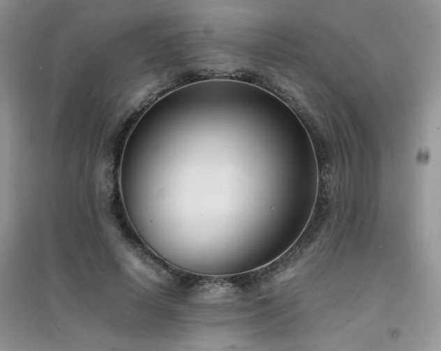 X0000094970642200711291504