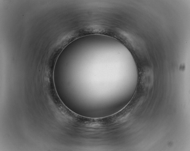 X0000094970643200711291504