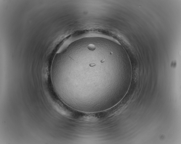 X0000094970644200711291504