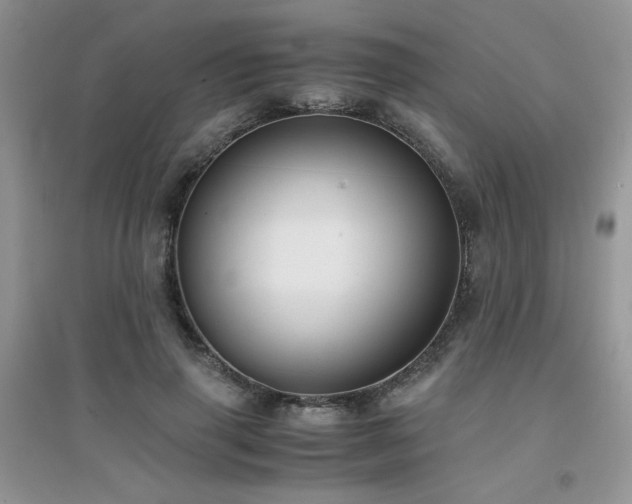X0000094970645200711291504