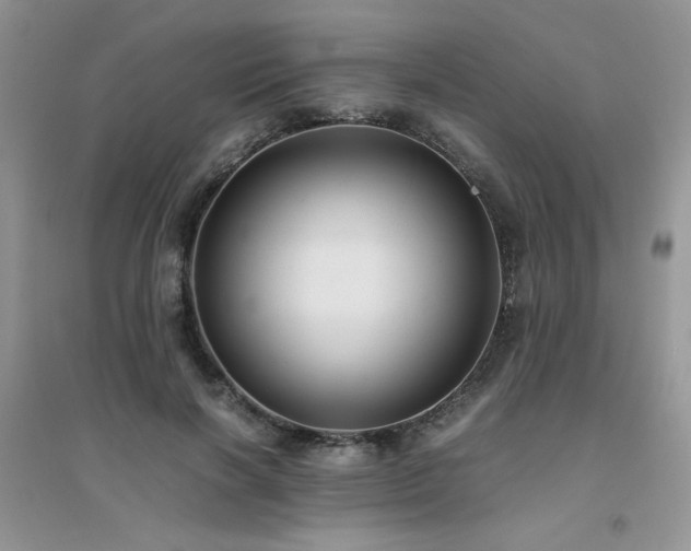 X0000094970646200711291504
