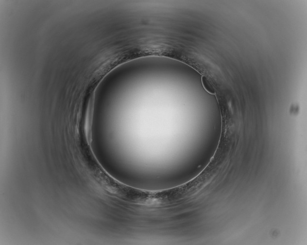 X0000094970647200711291504