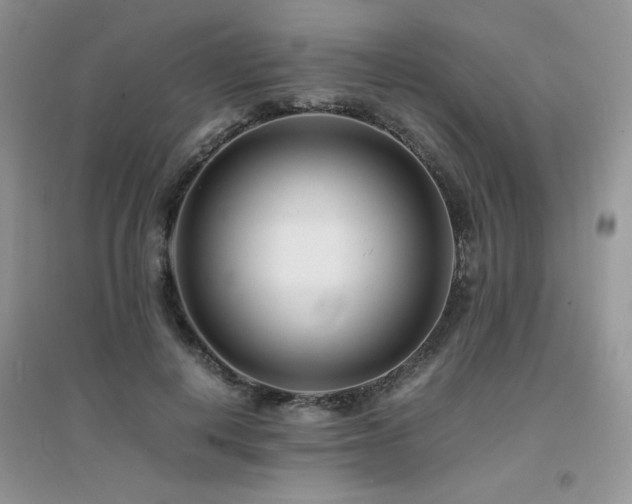 X0000094970648200711291504