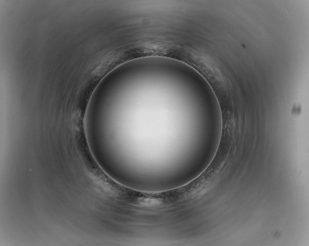 X0000094970649200711291504