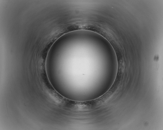 X0000094970650200711291504