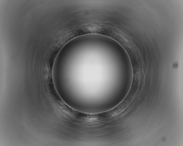 X0000094970651200711291505