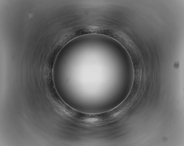 X0000094970653200711291505