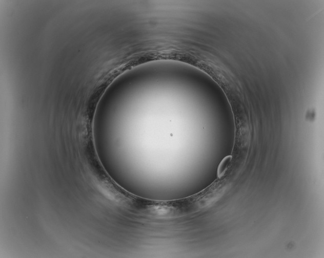 X0000094970654200711291505