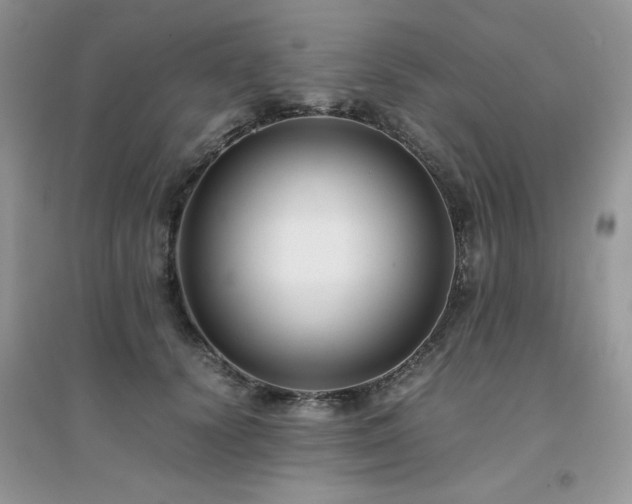 X0000094970656200711291505