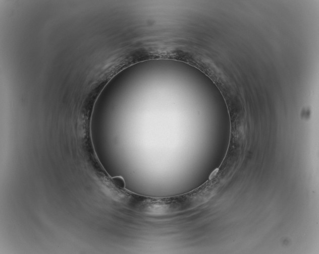 X0000094970658200711291505