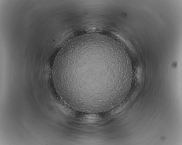 X0000094970659200711291505