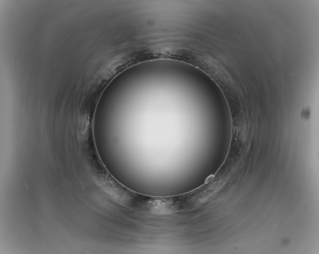 X0000094970660200711291505
