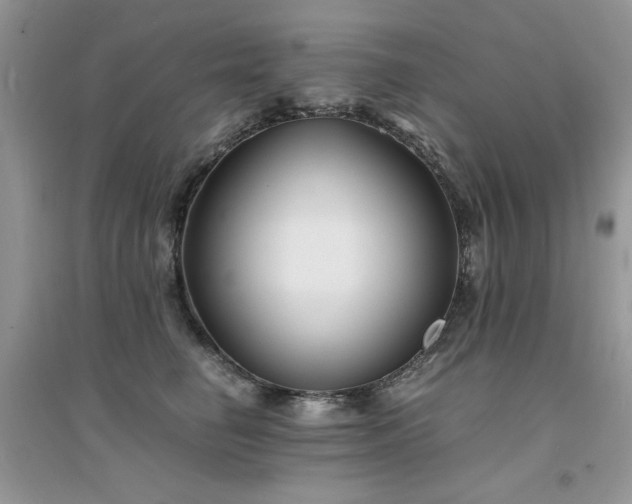 X0000094970662200711291505