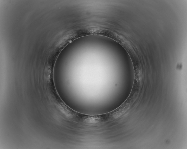 X0000094970664200711291505