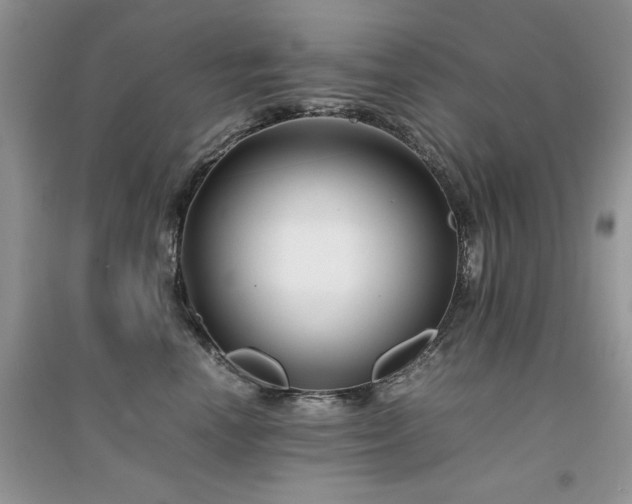 X0000094970666200711291505