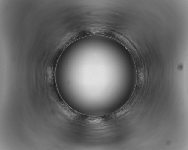 X0000094970667200711291505