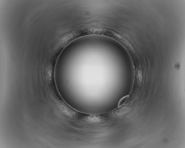 X0000094970668200711291505