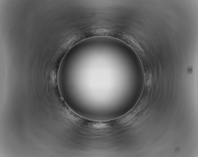 X0000094970669200711291505
