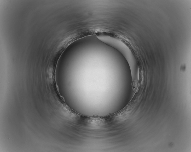 X0000094970670200711291505