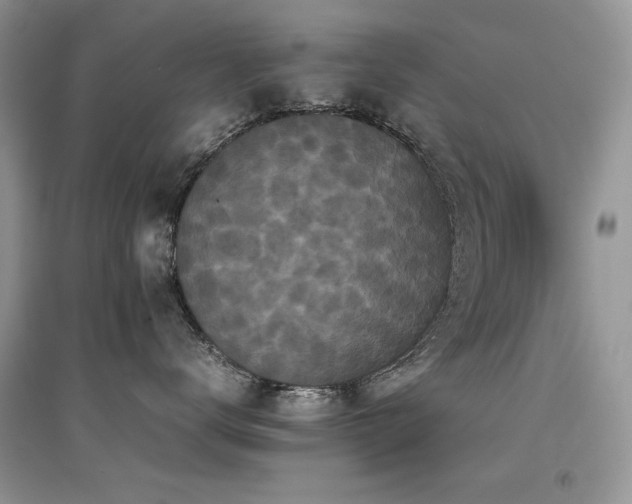 X0000094970672200711291505