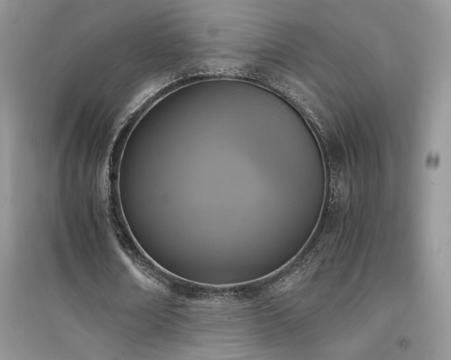 X0000094970674200711291504