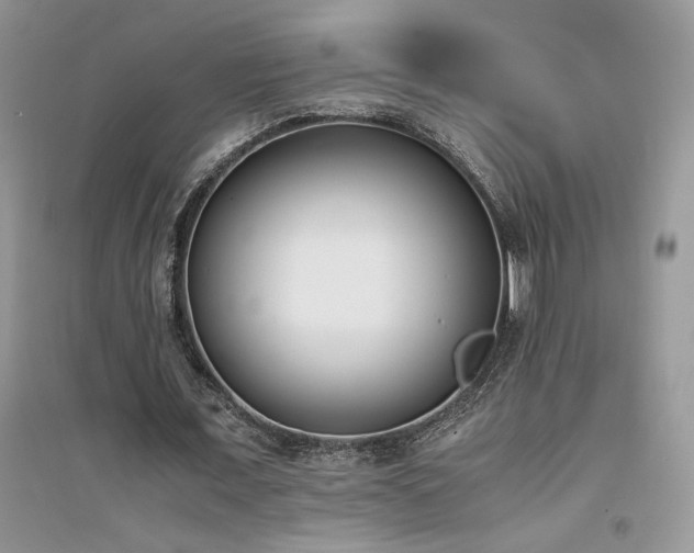 X0000094970675200711291504