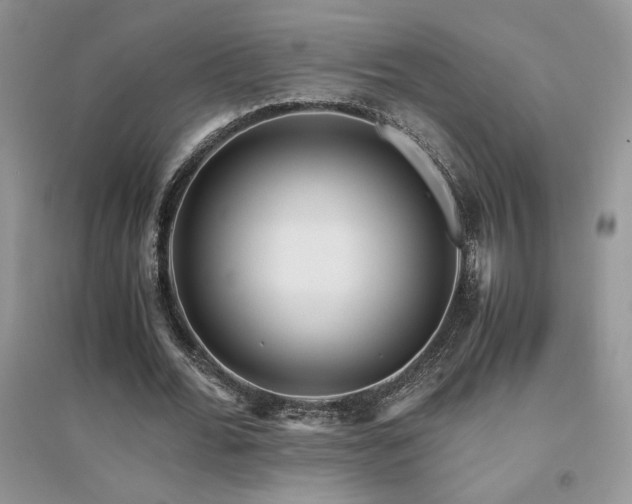 X0000094970676200711291504