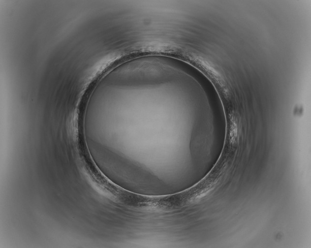 X0000094970678200711291504