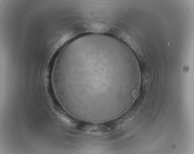 X0000094970679200711291504