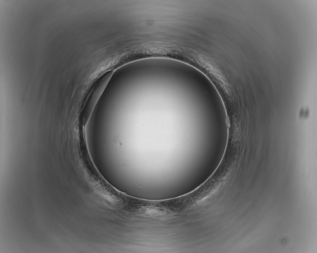 X0000094970681200711291504