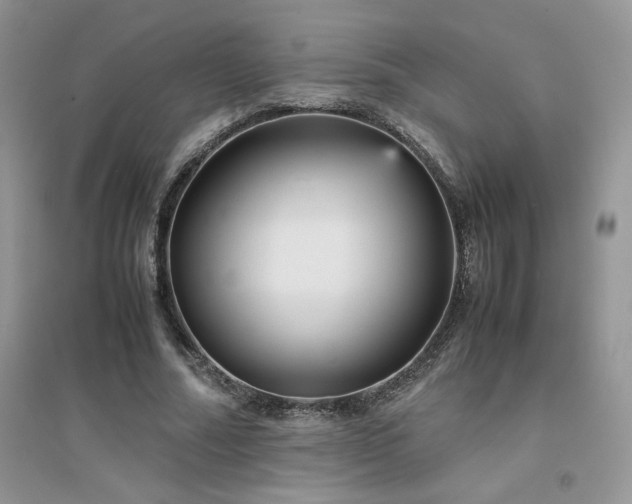 X0000094970682200711291504