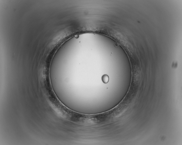 X0000094970683200711291504