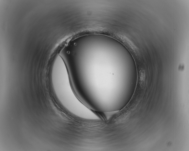 X0000094970684200711291504