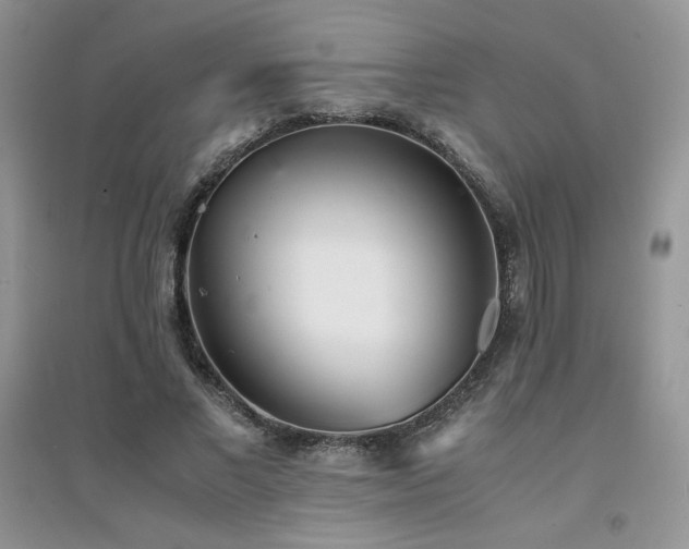 X0000094970685200711291504