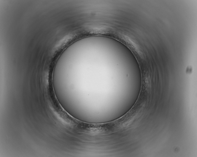 X0000094970686200711291504