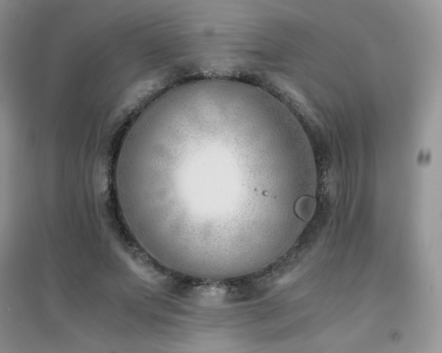 X0000094970687200711291504