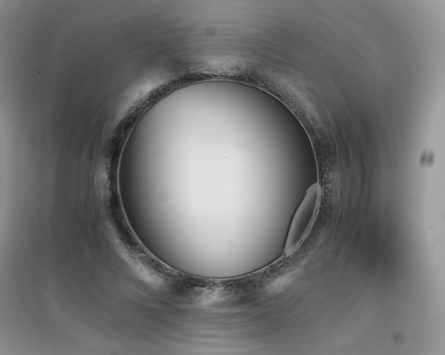 X0000094970688200711291504