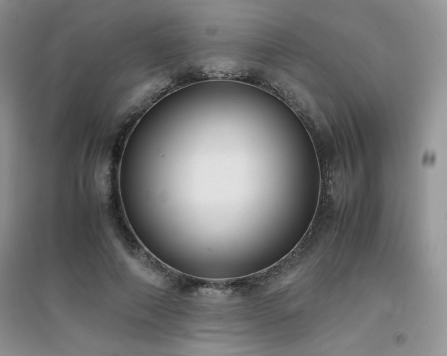 X0000094970690200711291504