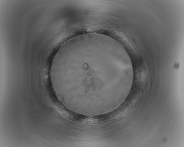 X0000094970691200711291504