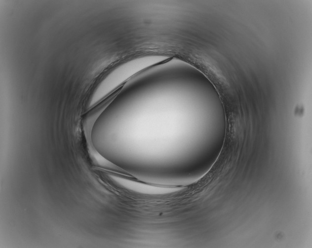 X0000094970692200711291504