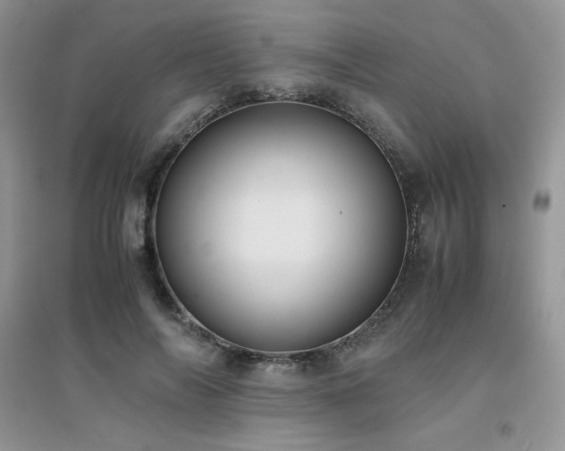 X0000094970694200711291504