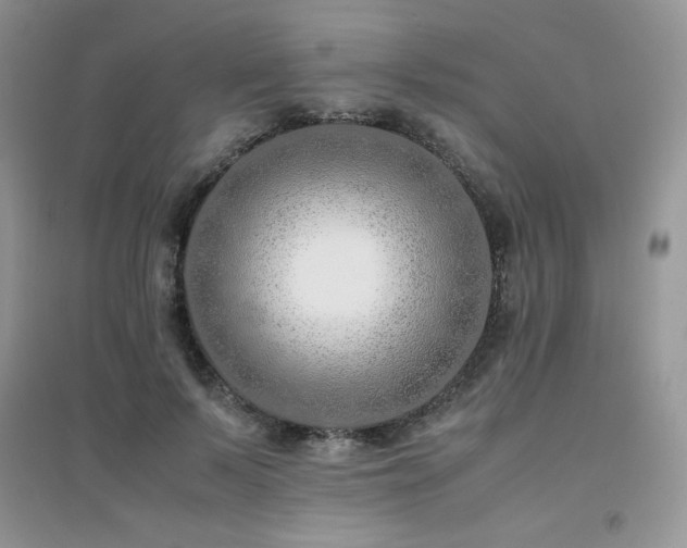 X0000094970695200711291504